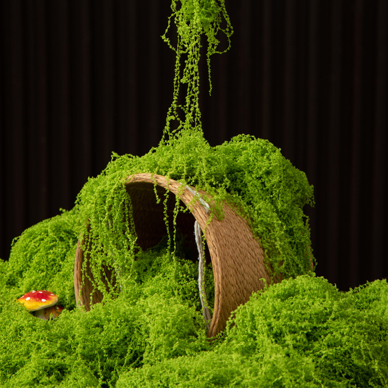 Bonsai Garden Mini - 200g Mech Wiecznego Życia DIY Rękodzieło