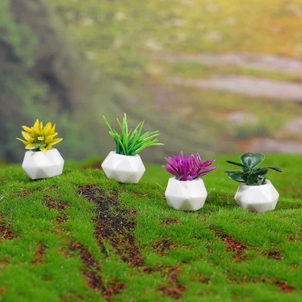 Bonsai Garden Mini - Miniaturowa doniczkowa roślina do domku dla