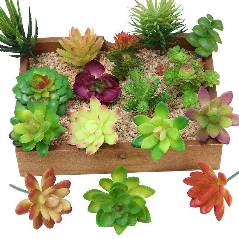 2021 sztuczne sukulenty roślin – Bonsai Garden Mini recenzja i cena