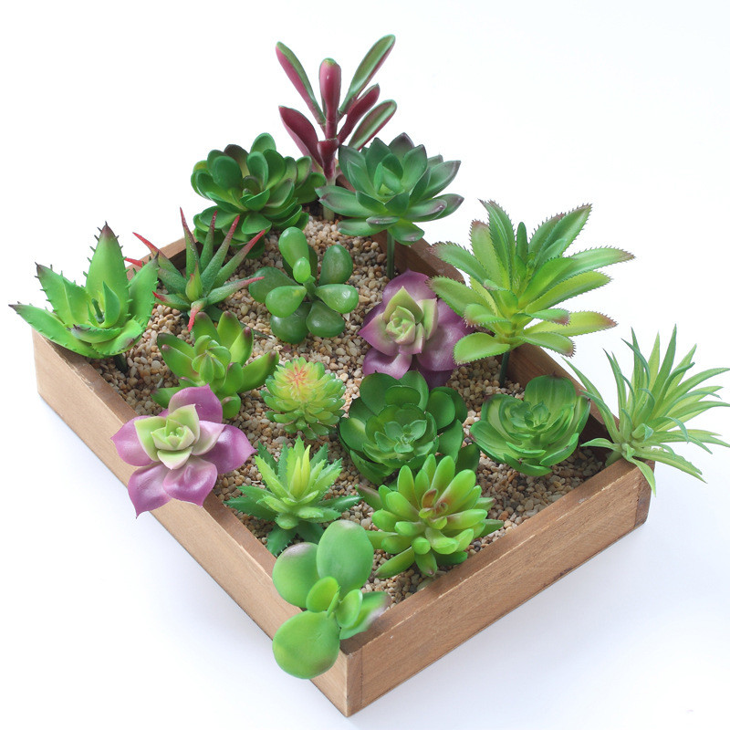 2021 sztuczne sukulenty roślin – Bonsai Garden Mini recenzja i cena