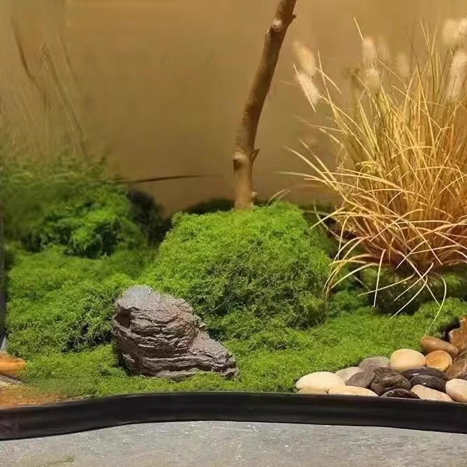 200g Mech Wiecznego Życia DIY  – Bonsai Garden Mini recenzja i cena