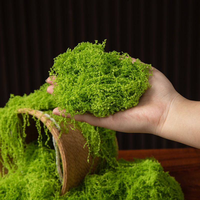 200g Mech Wiecznego Życia DIY  – Bonsai Garden Mini recenzja i cena