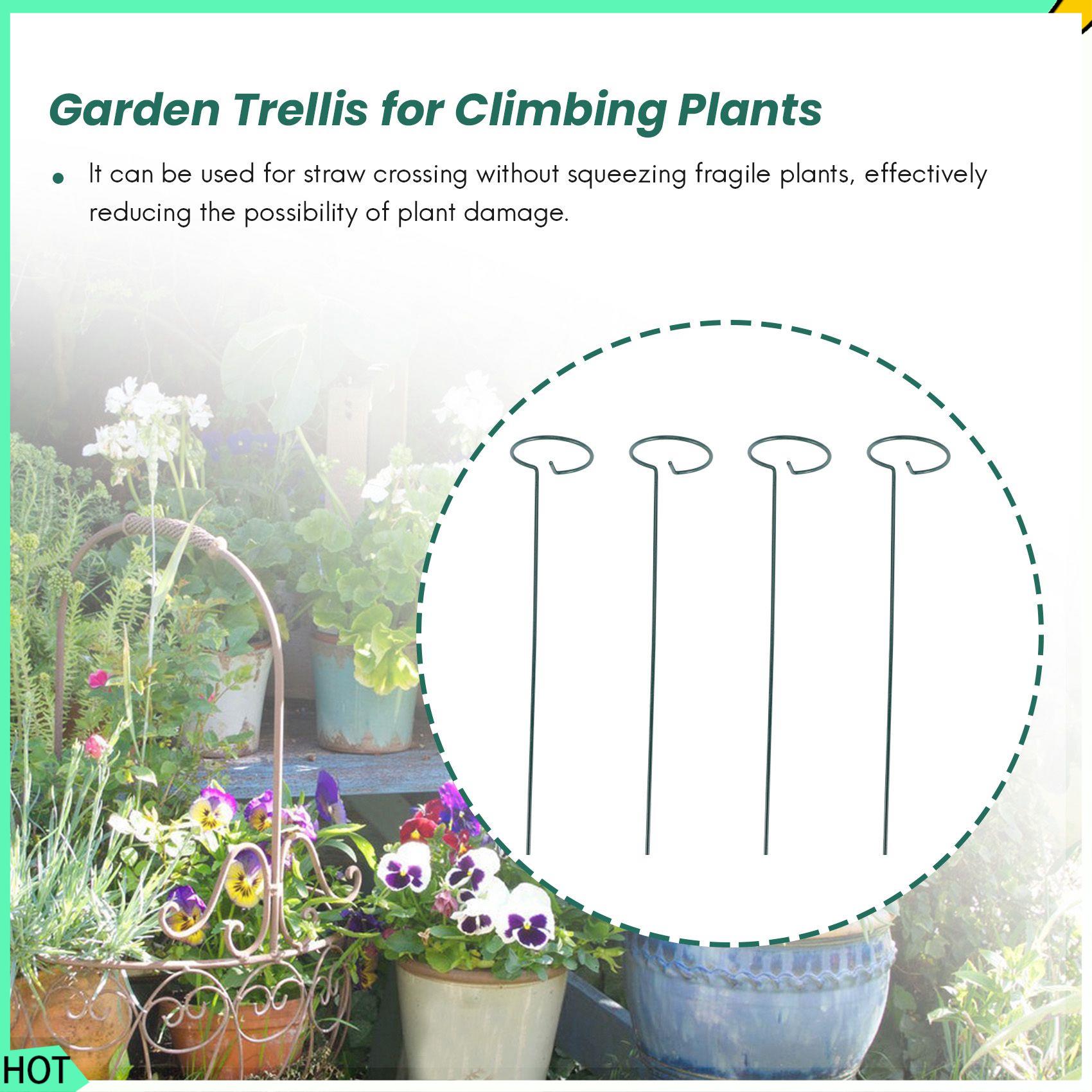 AWAH 8 SZTUK Piękne Podpórki d – Bonsai Garden Backyard recenzja i cena