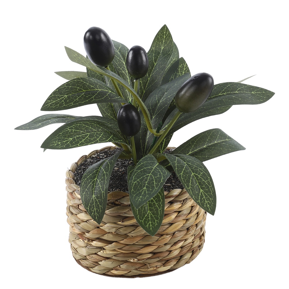 Sztuczna oliwka w doniczce, de – Bonsai Garden Accessories recenzja i cena