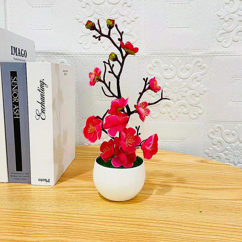 2025 HOT Dzień Matki Nowe Sztu – Bonsai Garden Mini recenzja i cena