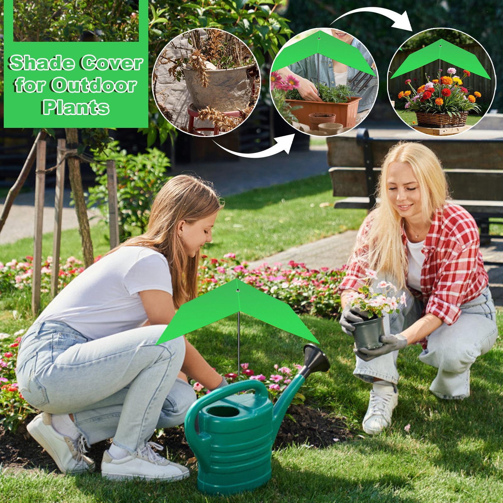 Parasol do roślin, osłona prze – Bonsai Garden Backyard recenzja i cena