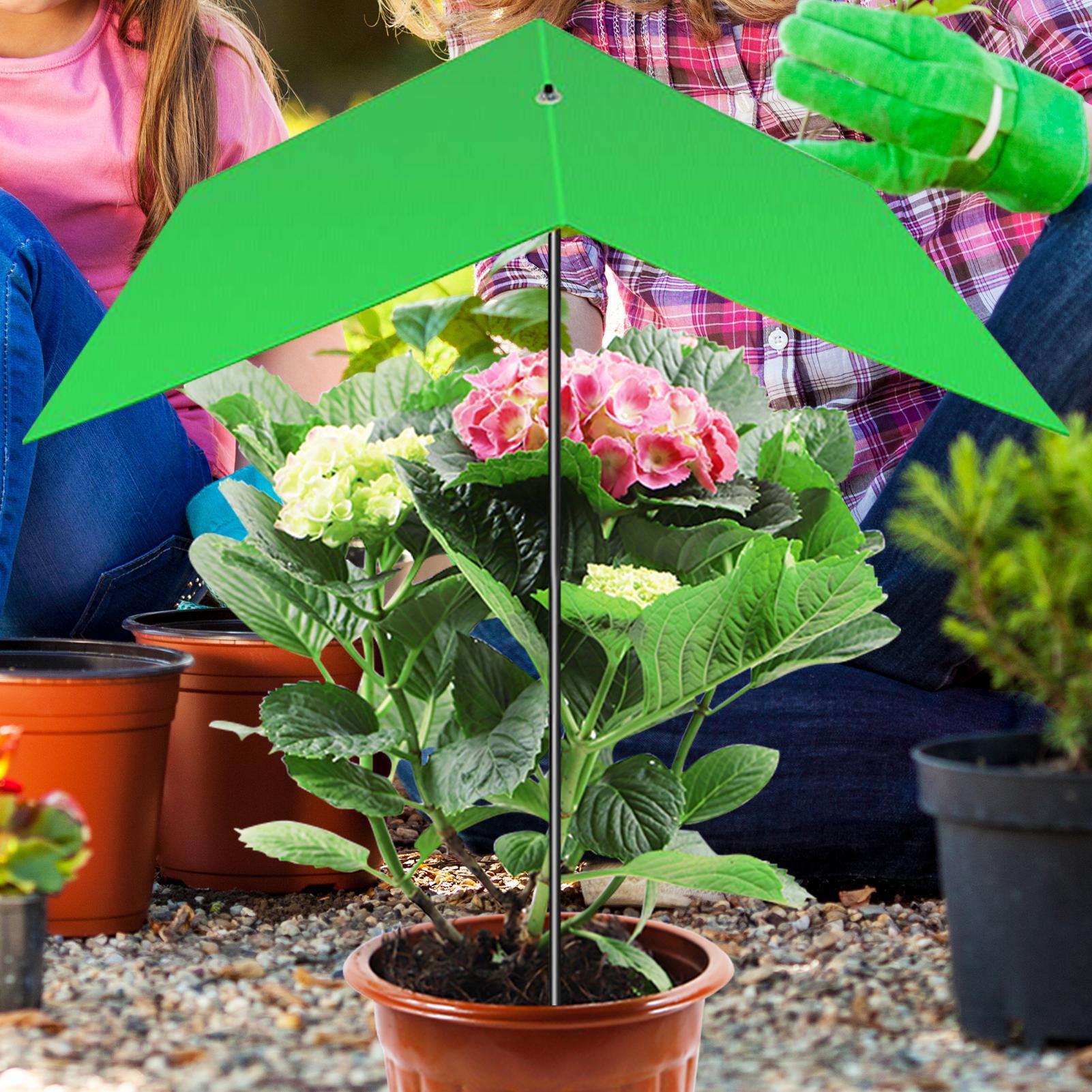 Parasol do roślin, osłona prze – Bonsai Garden Backyard recenzja i cena