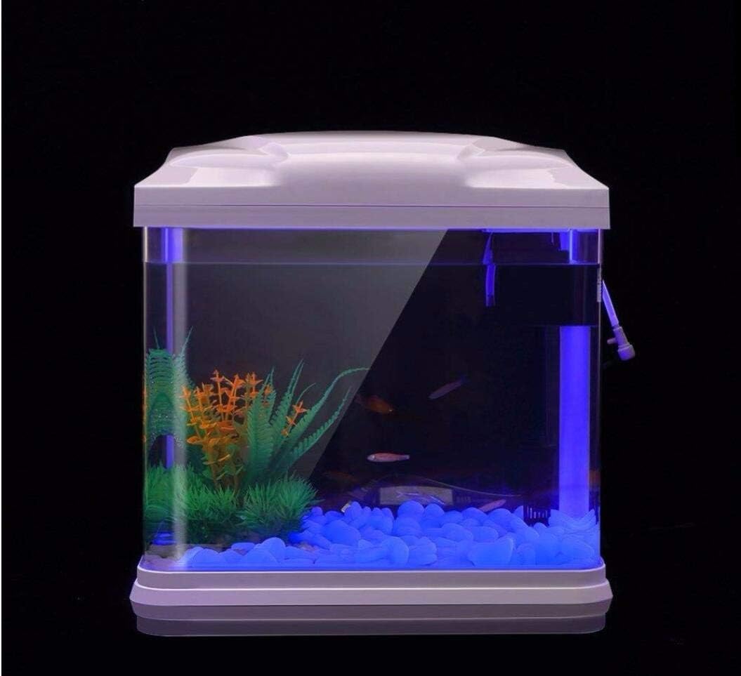 Fish Tank Rocks Glow Blue Pebb – Bonsai Garden Accessories recenzja i cena