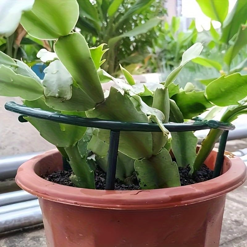30-1 SZT. Plastikowe Podpórki  – Bonsai Garden Accessories recenzja i cena