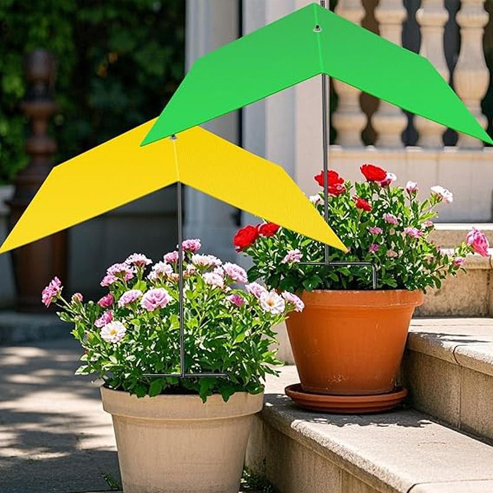 Parasole do roślin zewnętrznyc – Bonsai Garden Backyard recenzja i cena