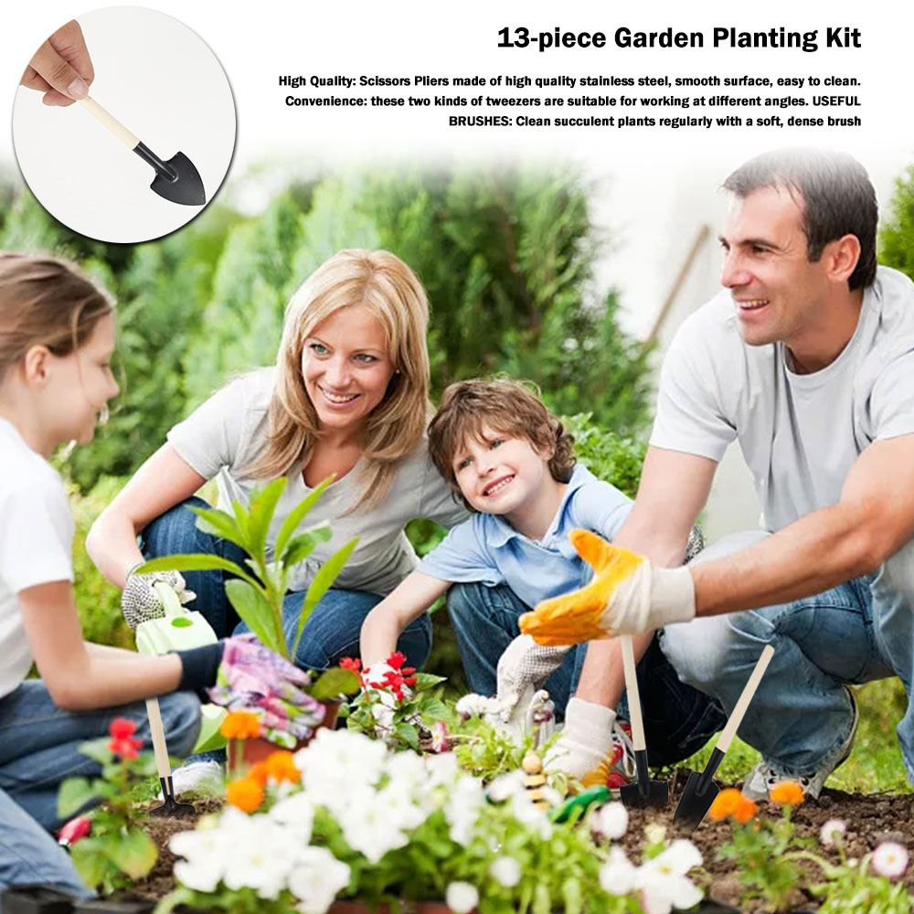 Soczyste rośliny narzędzia Min – Bonsai Garden Mini recenzja i cena