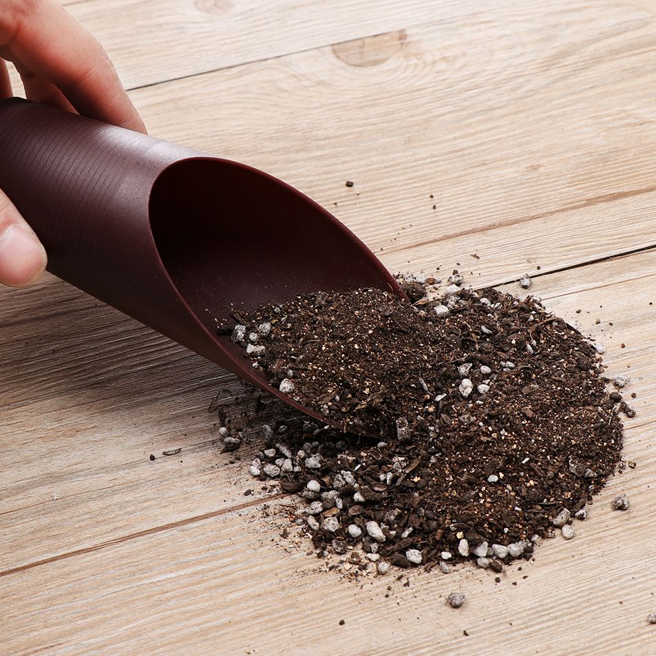 Plastikowa łopatka do gleby, k – Bonsai Garden Mini recenzja i cena