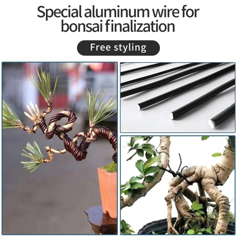 5m Drut Bonsai podpórka dla ro – Bonsai Garden Accessories recenzja i cena